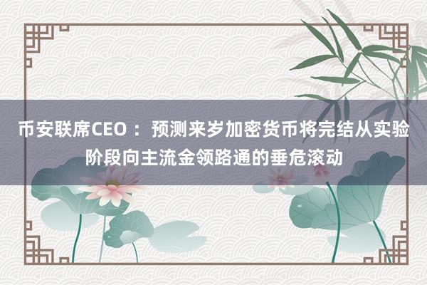 币安联席CEO ：预测来岁加密货币将完结从实验阶段向主流金领路通的垂危滚动